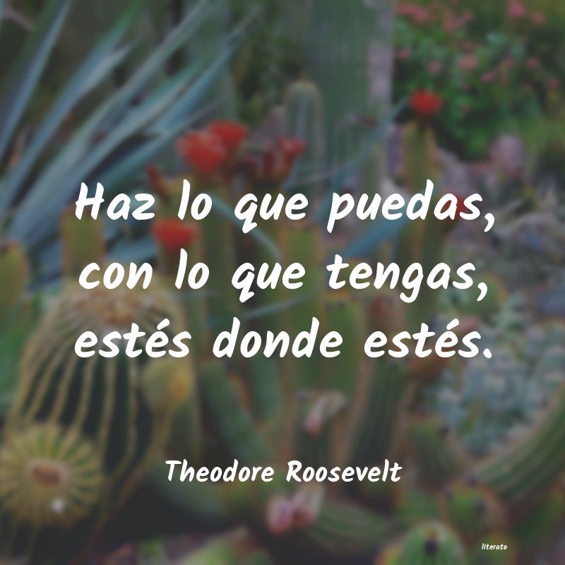 frases de Theodore Roosevelt