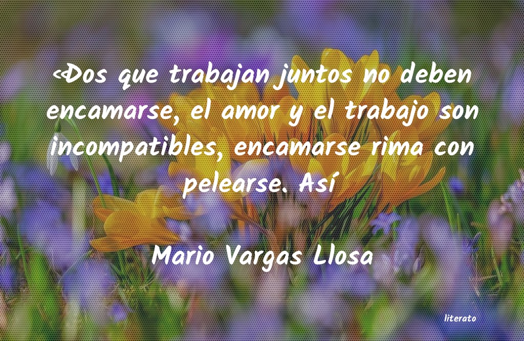 frases de Mario Vargas Llosa