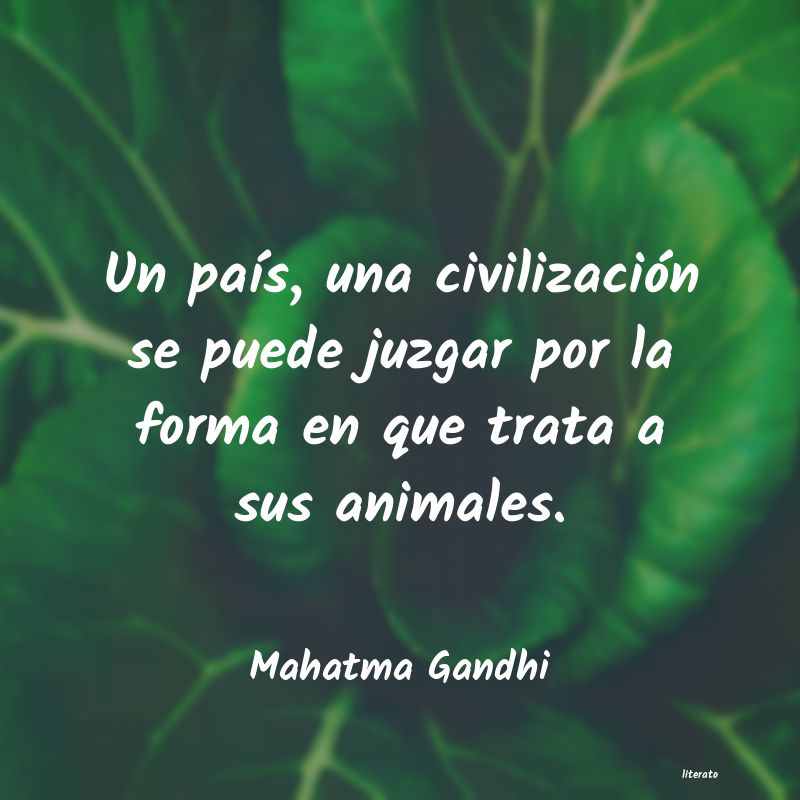 Frases de Mahatma Gandhi