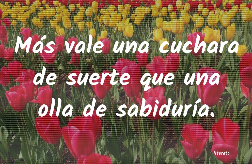 frases