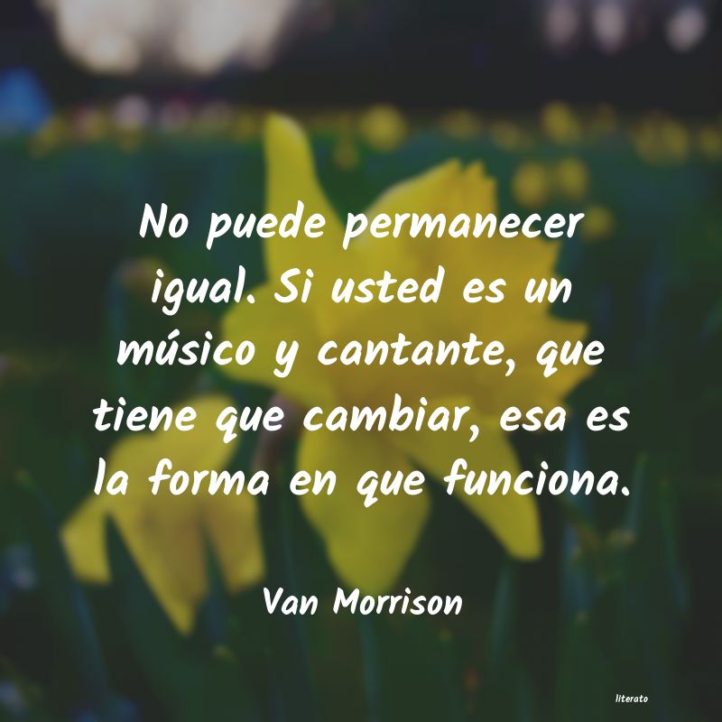 Frases de Van Morrison