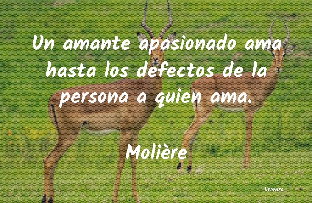 Frases de Molière