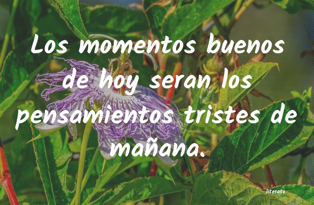 frases