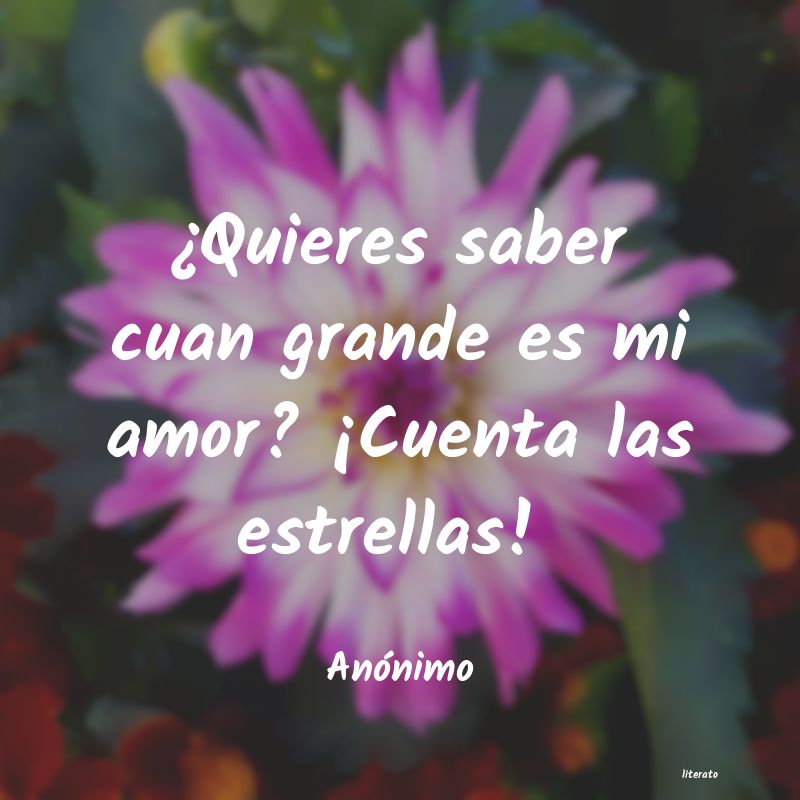 frases