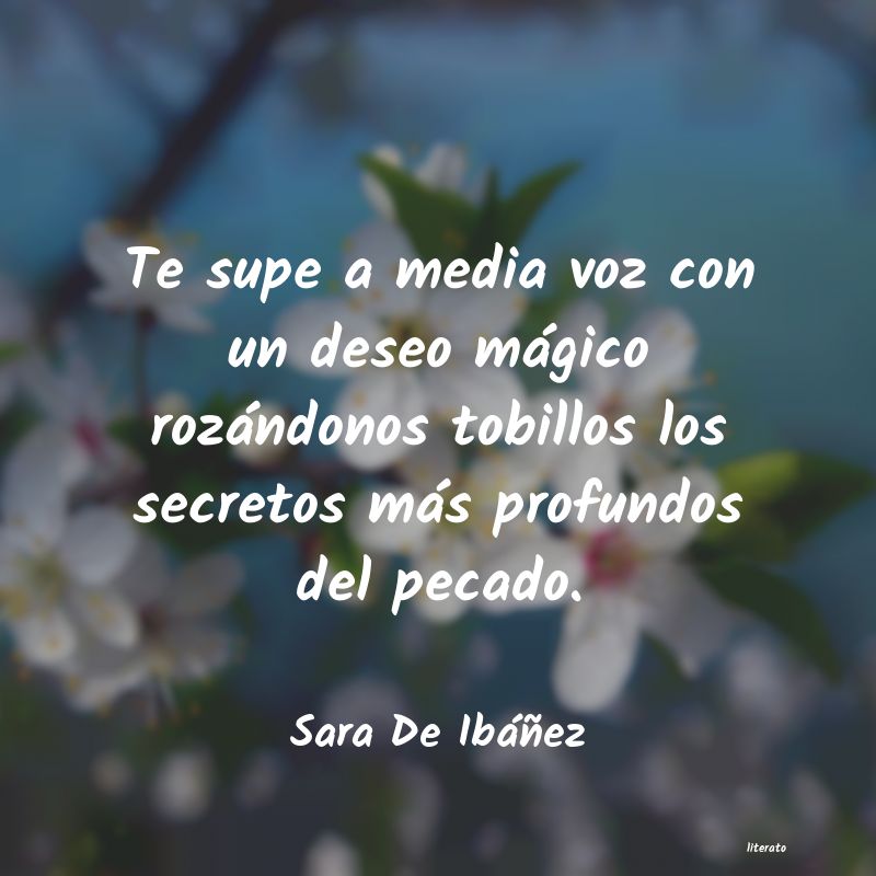 Frases de Sara De Ibáñez