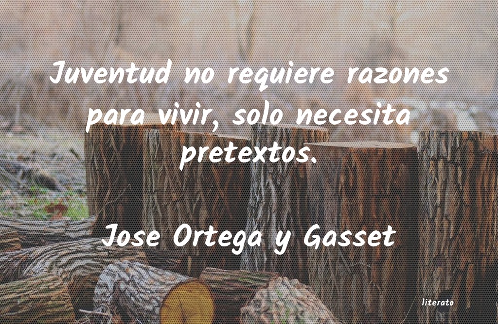 frases de Jose Ortega y Gasset