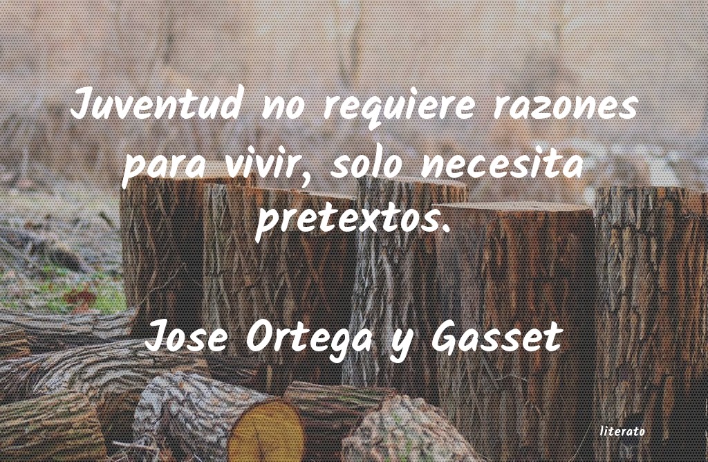 Frases de Jose Ortega y Gasset