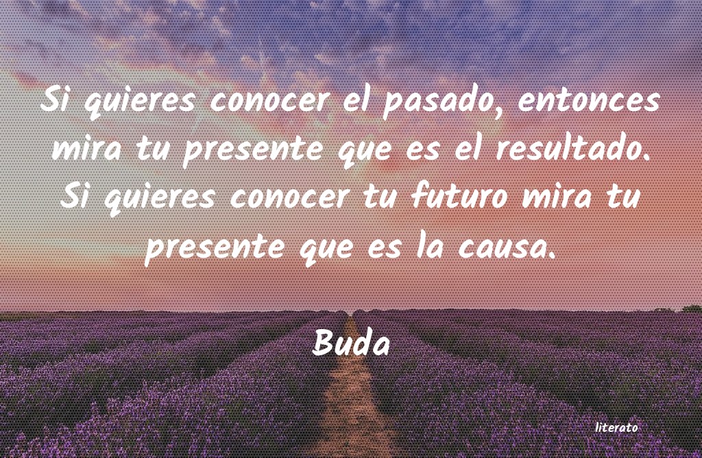 Frases de Buda