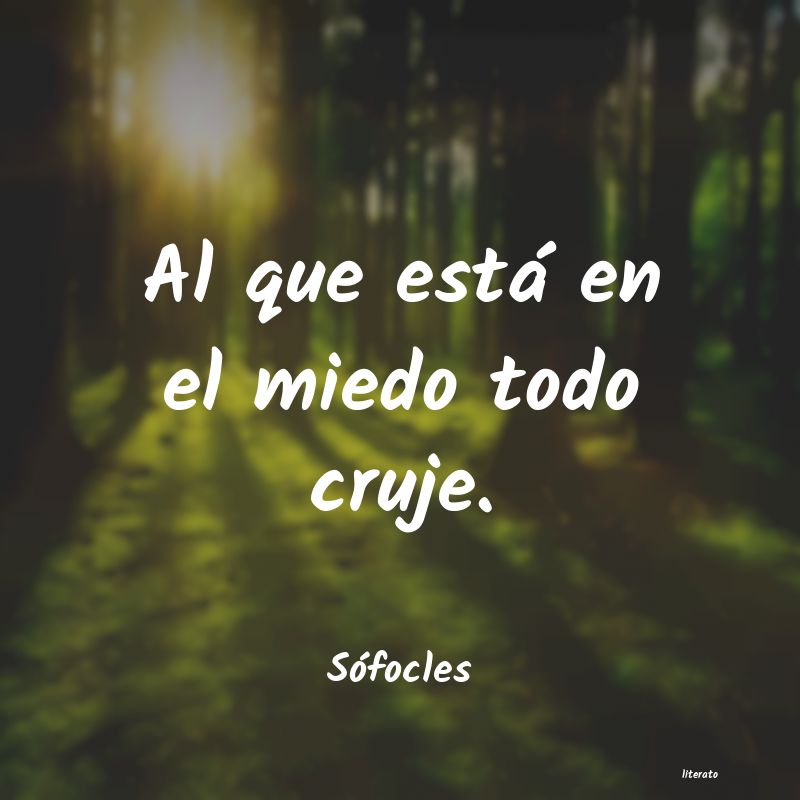 Frases de Sófocles