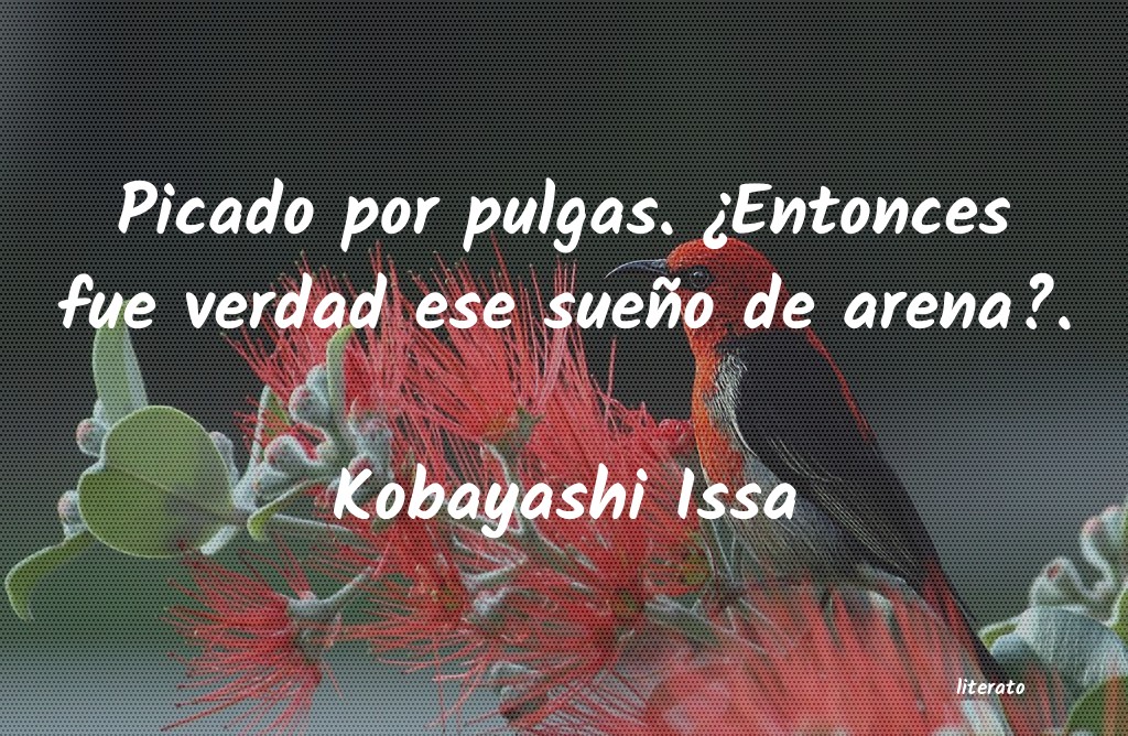frases de Kobayashi Issa