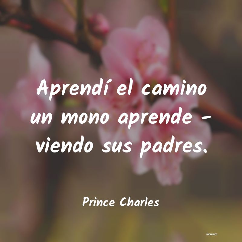 frases de Prince Charles
