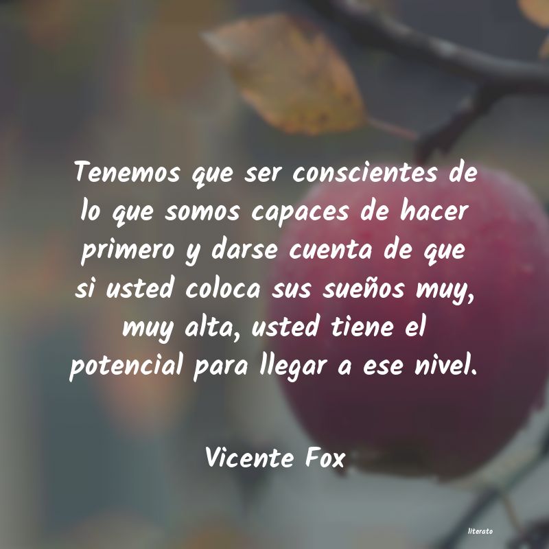 Frases de Vicente Fox