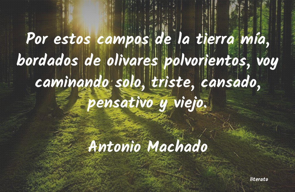 Frases de Antonio Machado