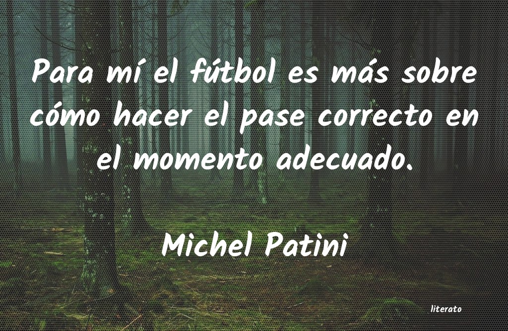 Frases de Michel Patini