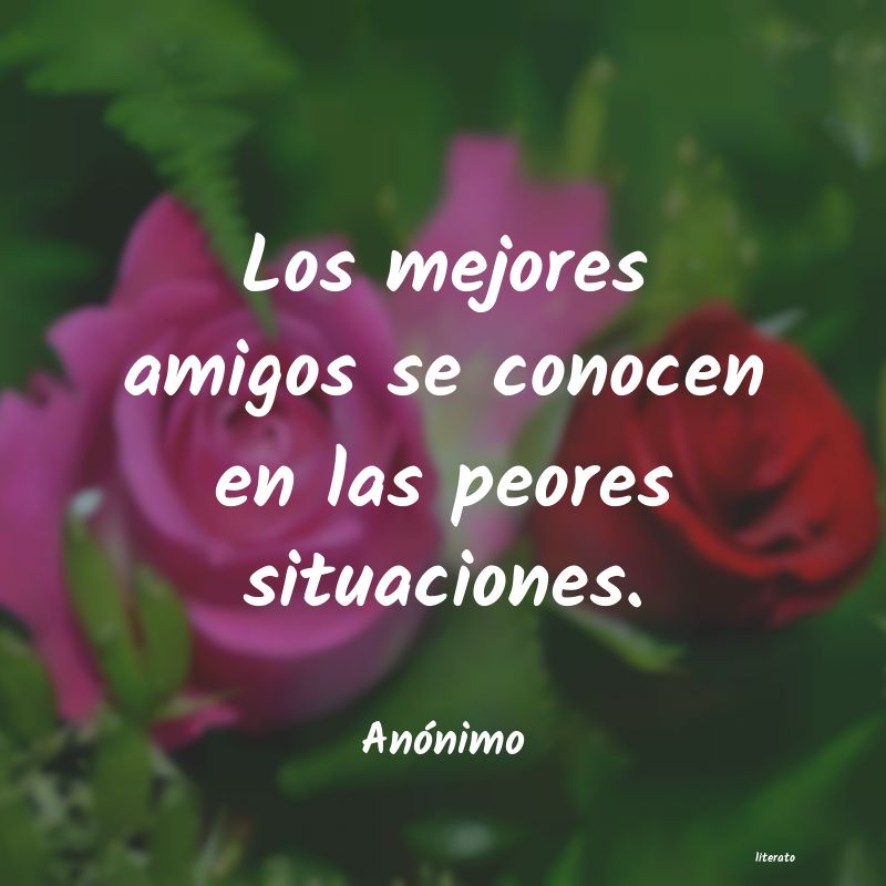 frases