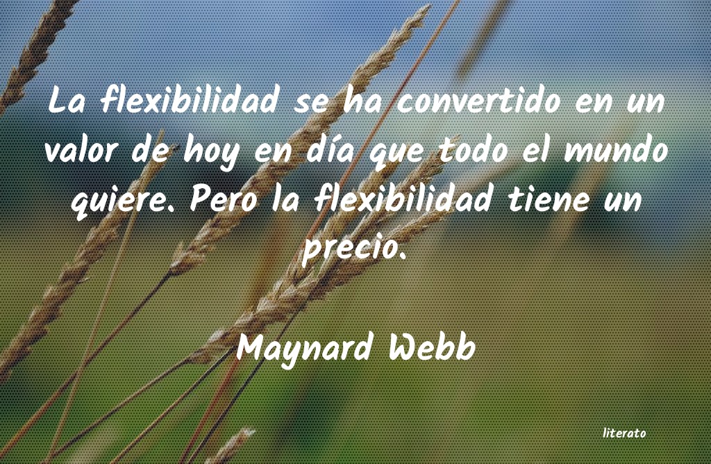 Frases de Maynard Webb