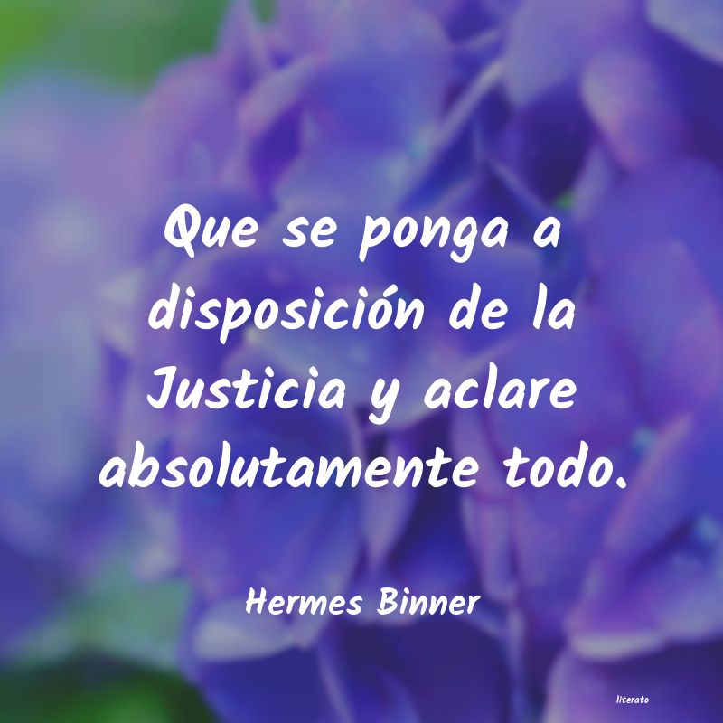 Frases de Hermes Binner