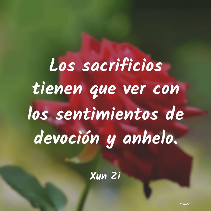 Frases de Xun Zi