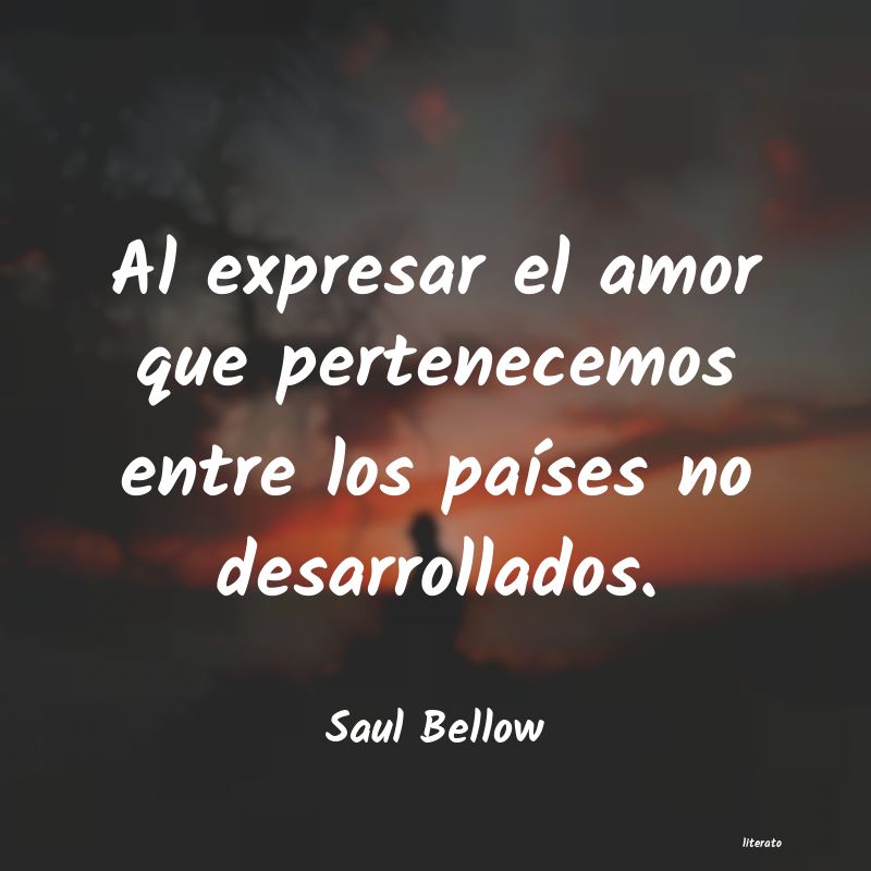 Frases de Saul Bellow