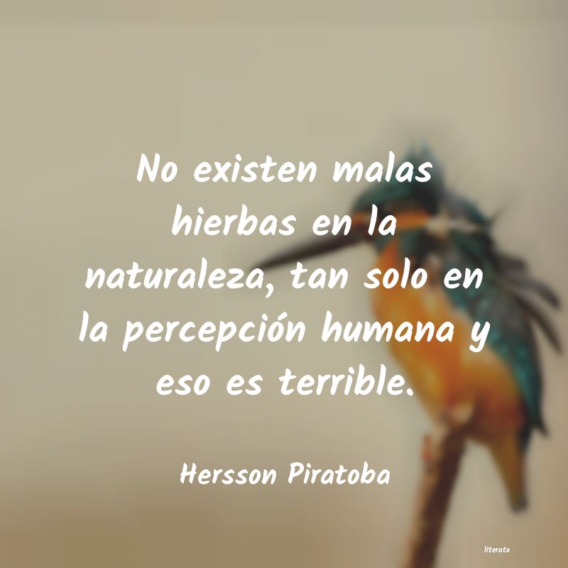 frases de Hersson Piratoba