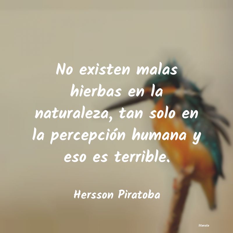 Frases de Hersson Piratoba