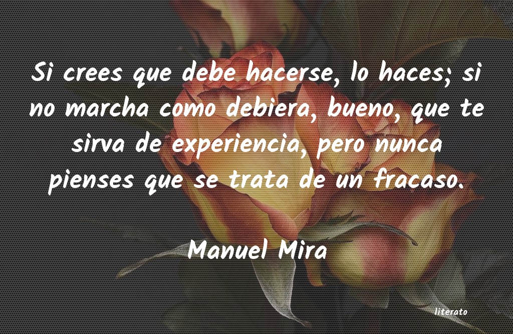 Frases de Manuel Mira