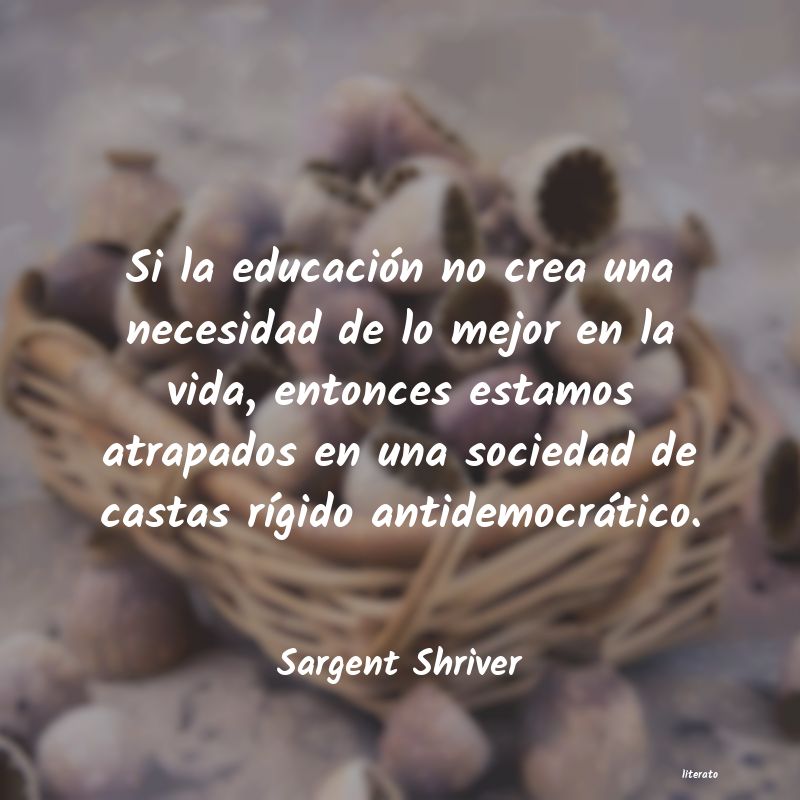 frases de Sargent Shriver