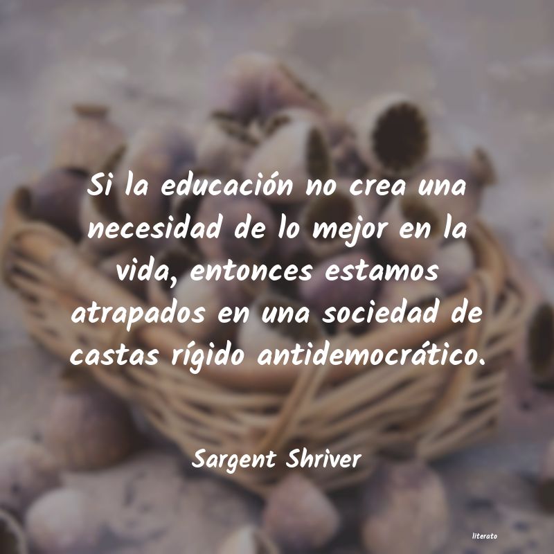 Frases de Sargent Shriver