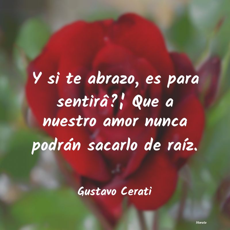 Frases de Gustavo Cerati