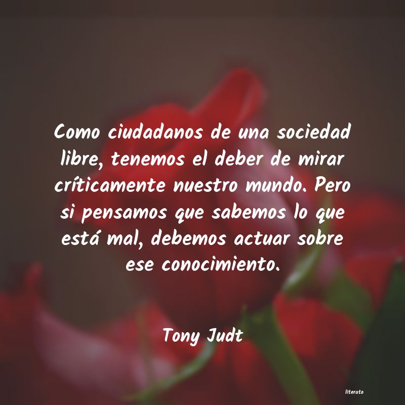 Frases de Tony Judt