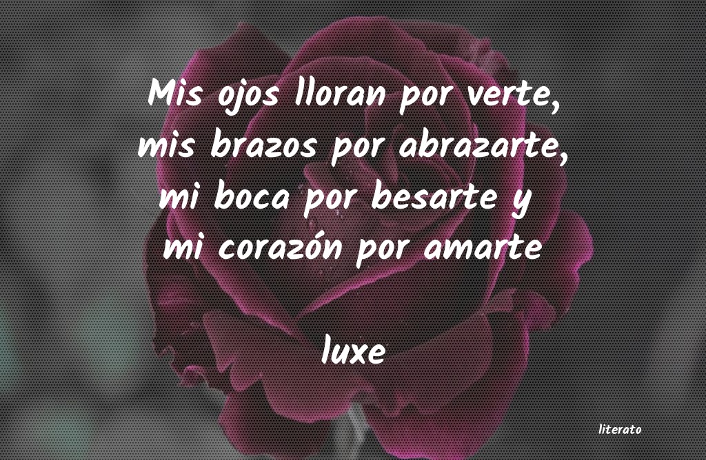 Frases de luxe