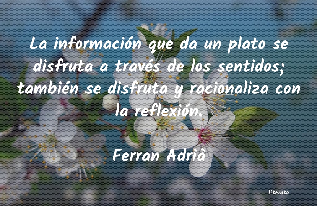 frases cortas para reflexionar