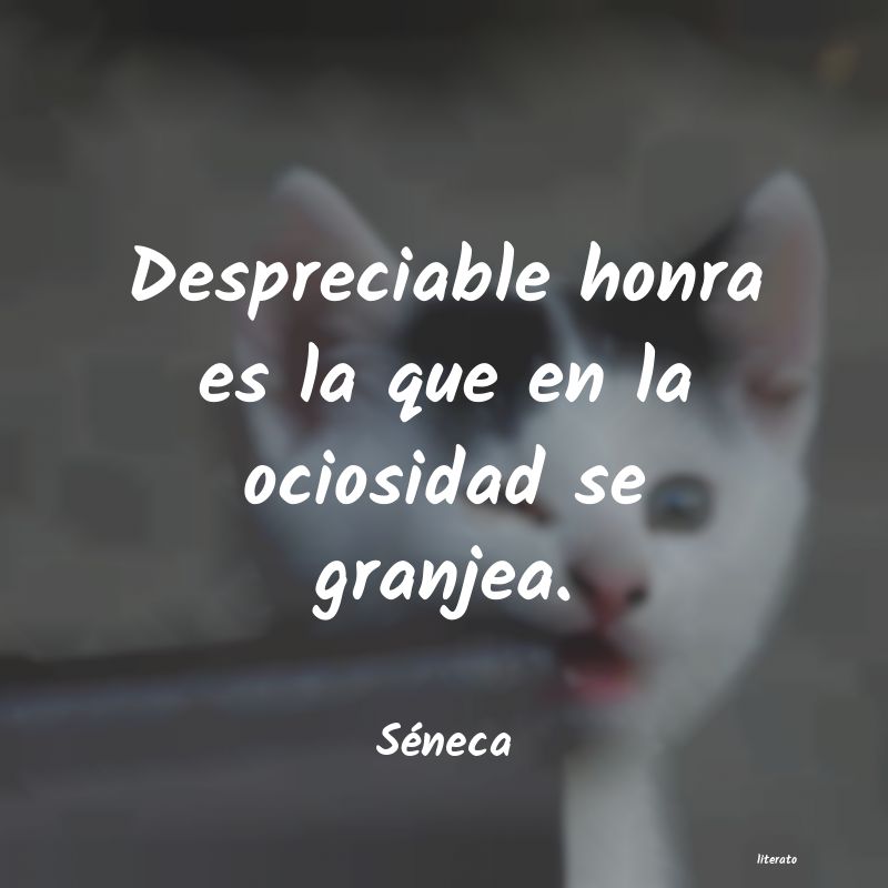 Frases de Séneca