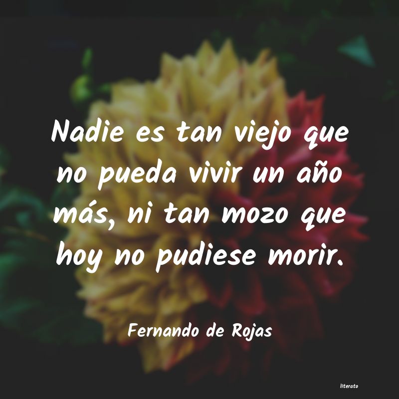 frases de Fernando de Rojas
