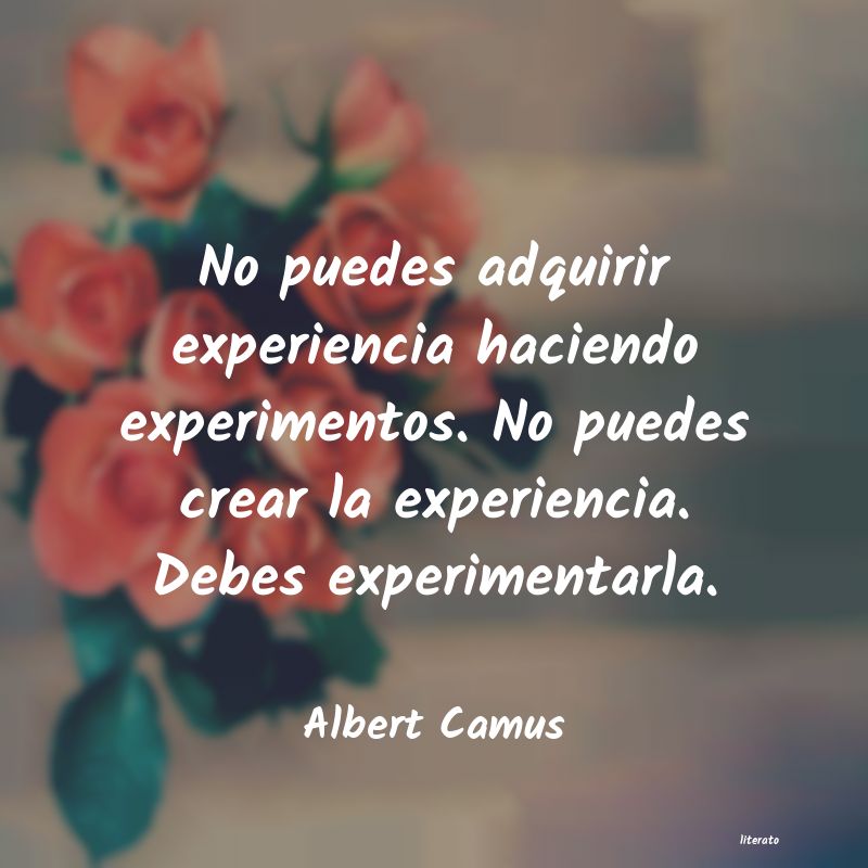 Frases de Albert Camus