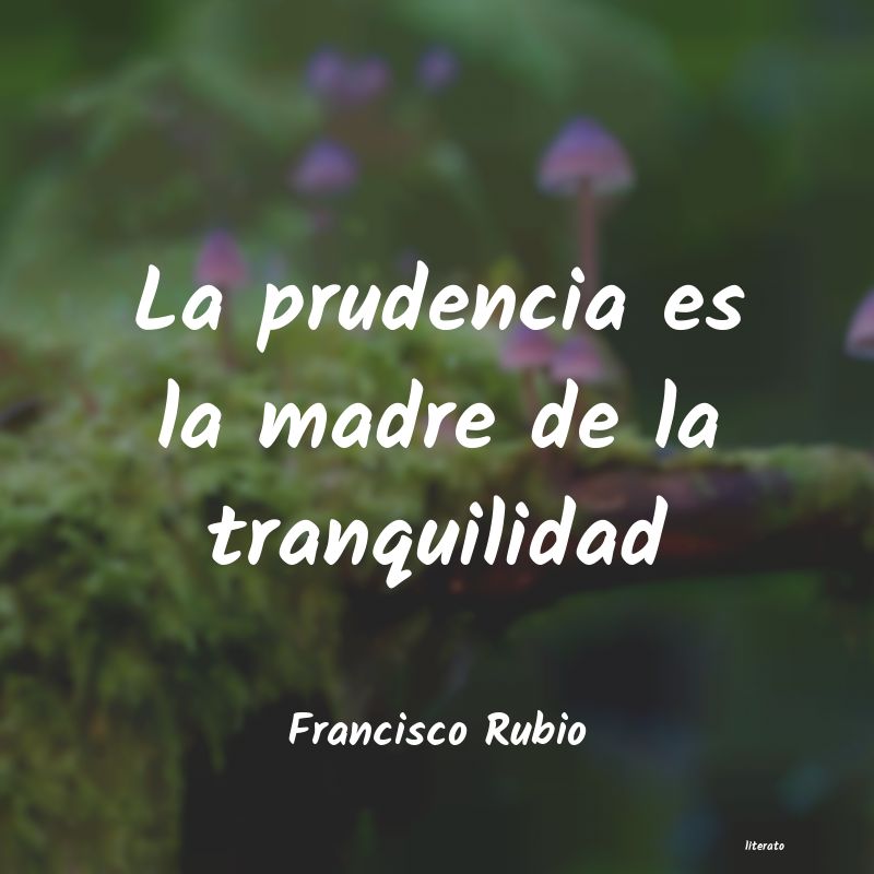 Frases de Francisco Rubio