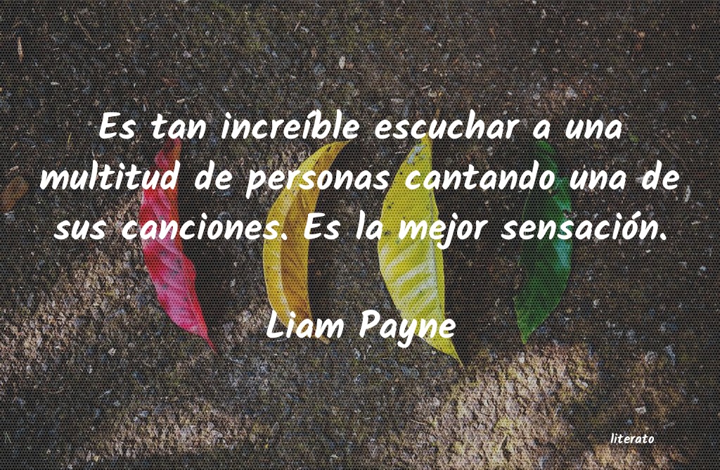 Frases de Liam Payne
