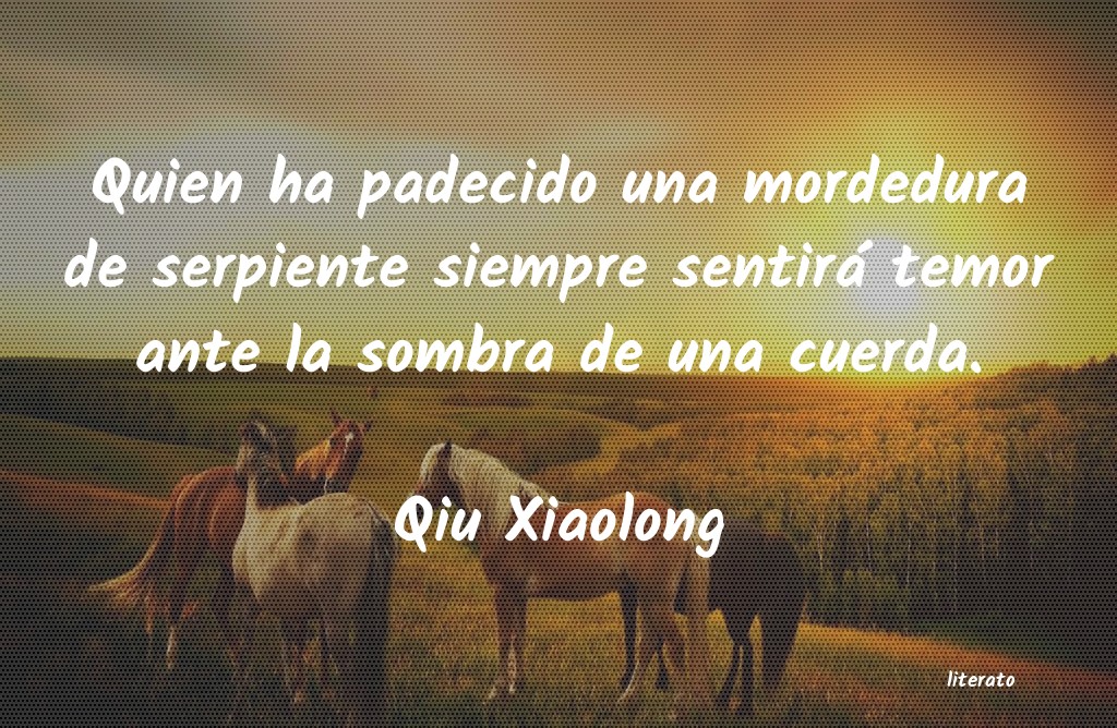 Frases de Qiu Xiaolong