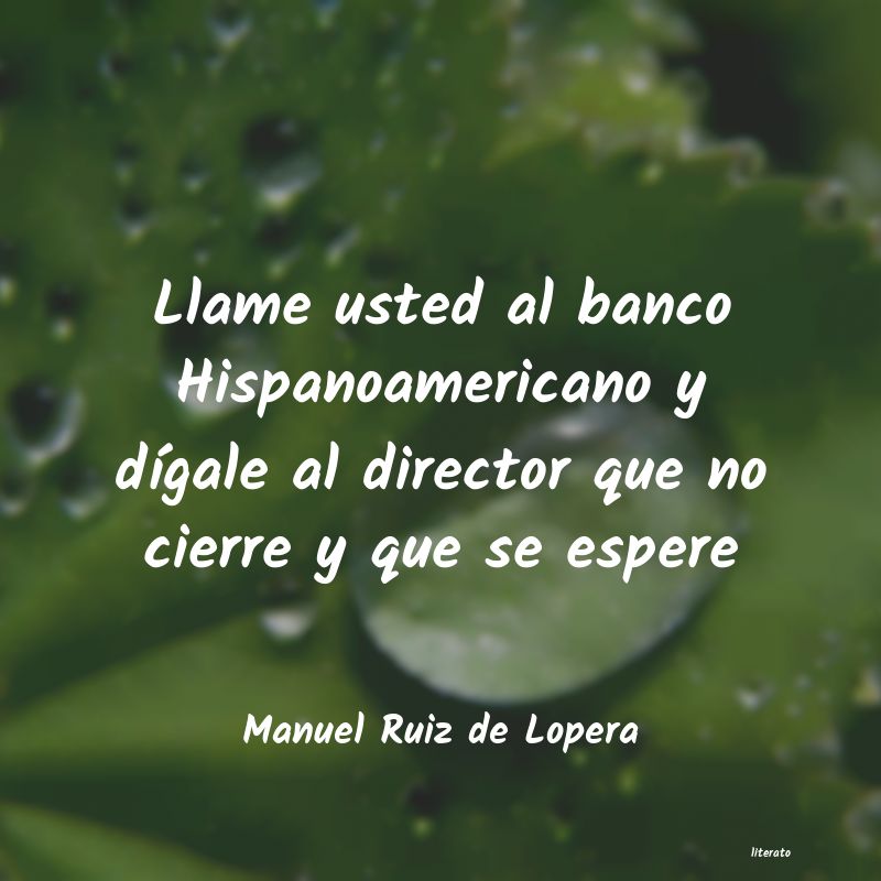 Frases de Manuel Ruiz de Lopera