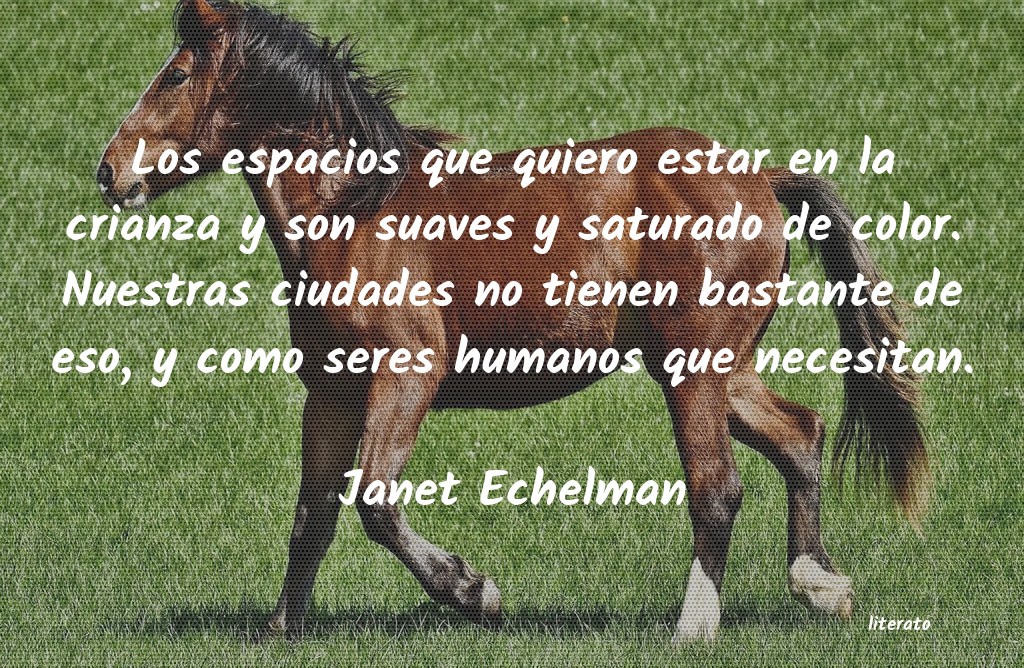 frases de Janet Echelman