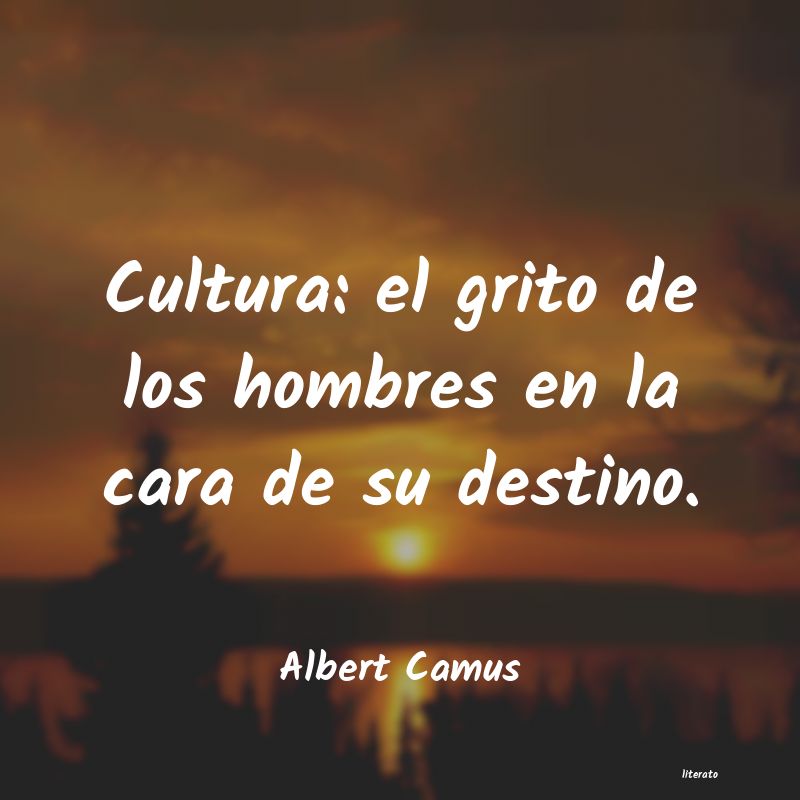 Frases de Albert Camus