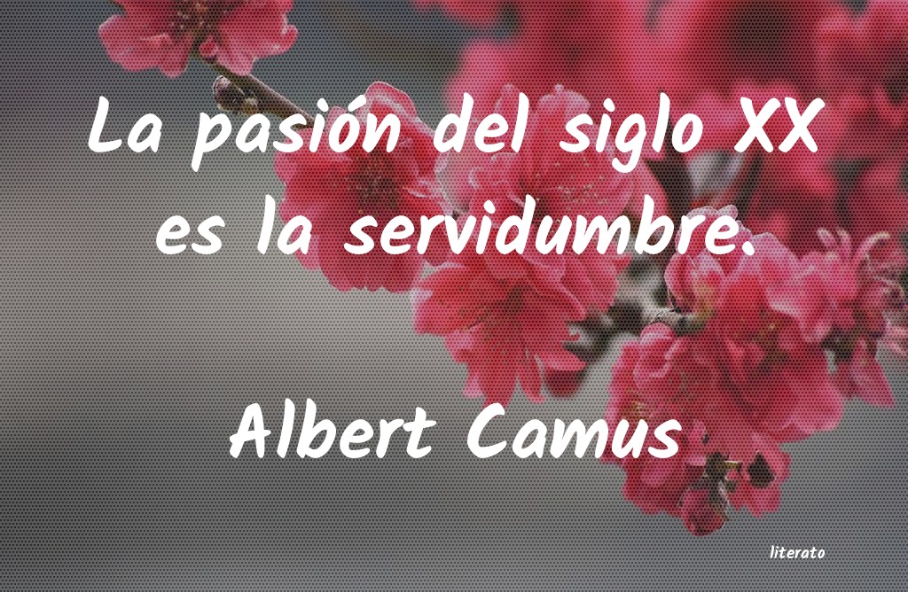 Frases de Albert Camus