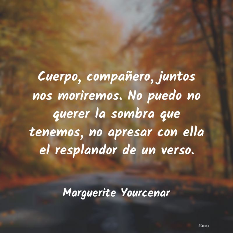 Frases de Marguerite Yourcenar