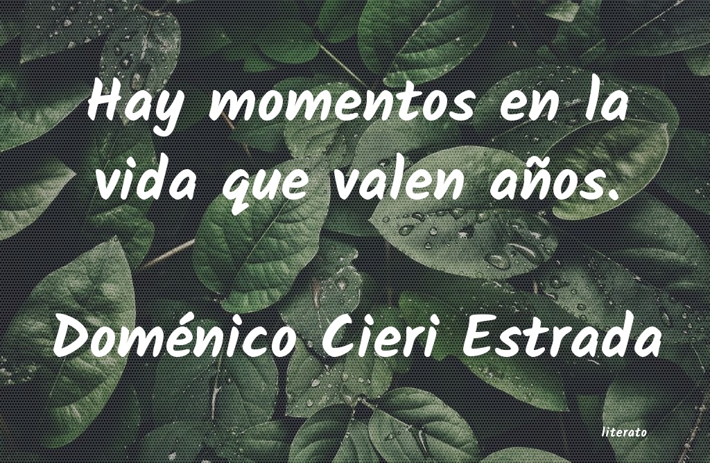 Frases de Doménico Cieri Estrada