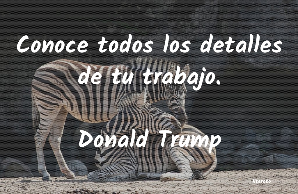 Frases de Donald Trump