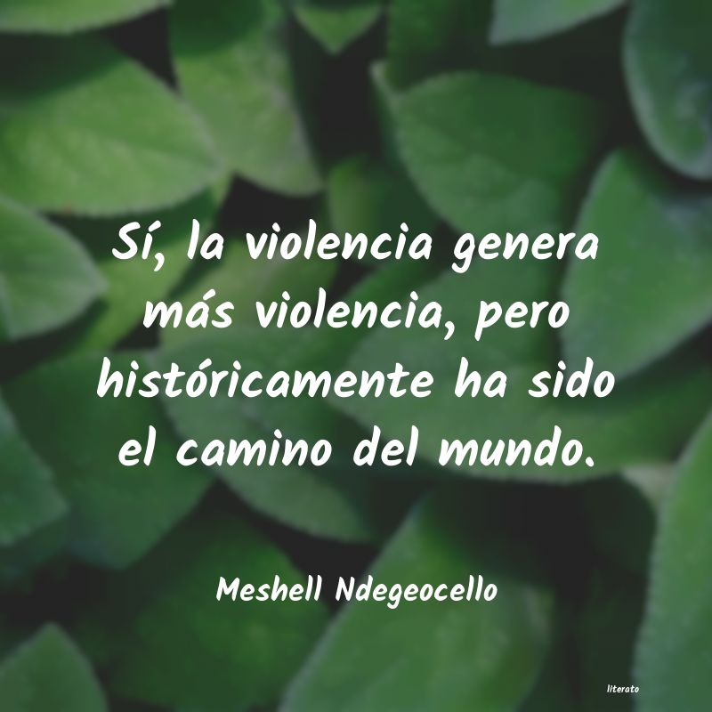 Frases de Meshell Ndegeocello