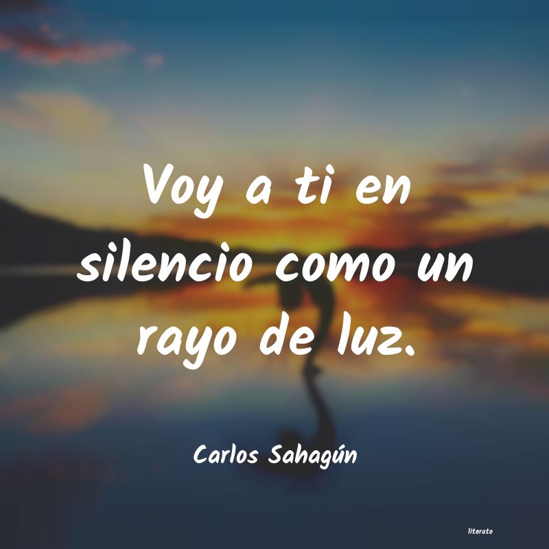 Frases de Carlos Sahagún