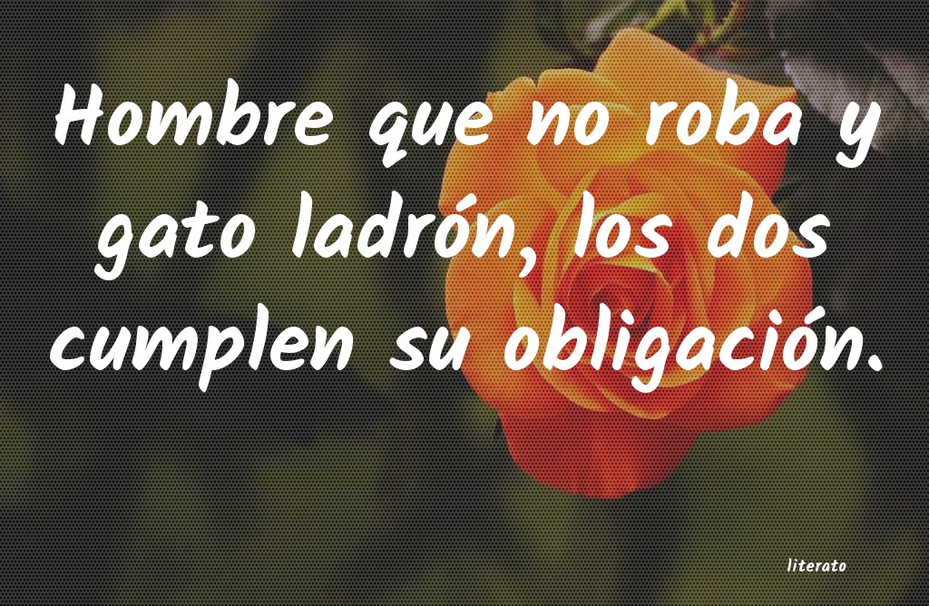 frases