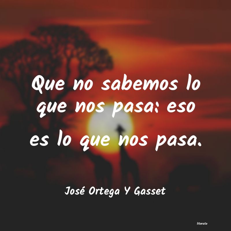 frases de José Ortega Y Gasset