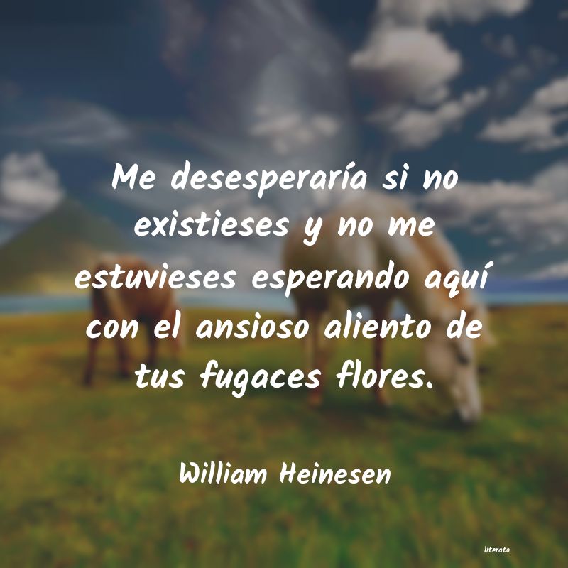 Frases de William Heinesen